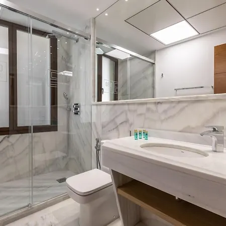 아파트 Bibo Real Chancilleria 그라나다