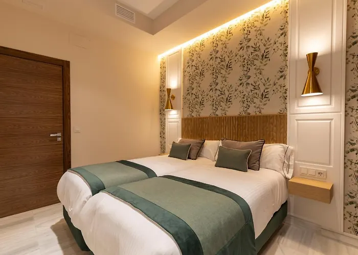 Bibo Real Chancilleria *